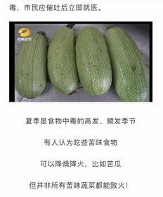 吃瓜中毒最新视频大全集,揭秘网络热点背后的真相与笑料