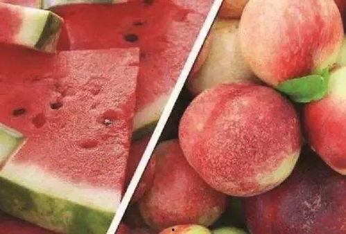 吃瓜中毒最新视频大全集,揭秘网络热点背后的真相与笑料