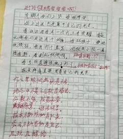 吃瓜趣作文教学视频,轻松掌握作文技巧的趣味之旅