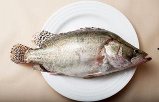 刘大瓜吃烤鲢鱼视频,香气四溢的味蕾盛宴