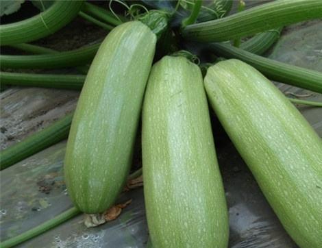 西板吃瓜视频,揭秘热门视频背后的故事与真相