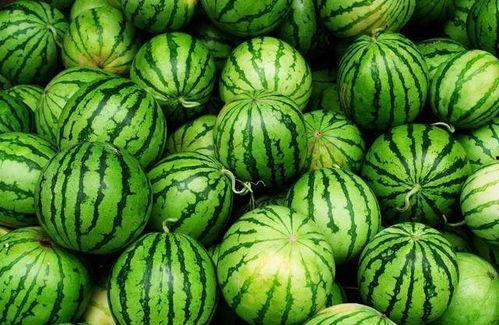 西板吃瓜视频,揭秘热门视频背后的故事与真相