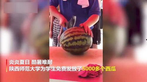 四川老师吃瓜视频大全,趣味横生的教学瞬间