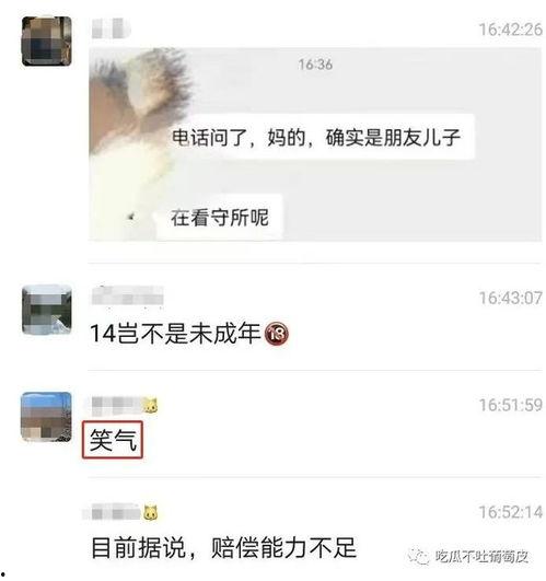 吃瓜事件背后真相视频播放,视频播放背后的真相全解析