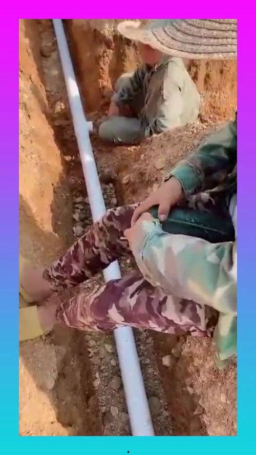 师傅吃瓜视频,揭秘娱乐圈幕后故事