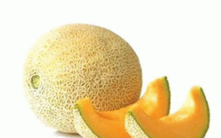 妈妈吃哈密瓜视频,哈密瓜美食视频大赏