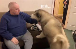 狗妞赵爷爷吃瓜视频大全,吃瓜视频大全盘点