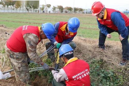 群众吃海瓜视频真实吗,群众吃海瓜视频的真实性探究