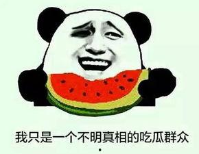 群众吃海瓜视频真实吗,群众吃海瓜视频的真实性探究