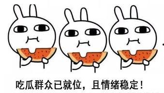 人类吃瓜搞笑段子视频,搞笑视频里的欢乐时光