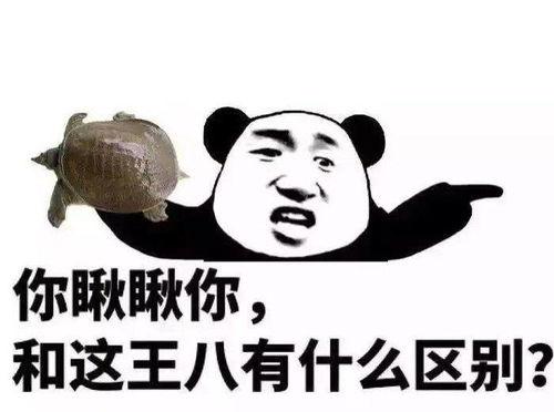 人类吃瓜搞笑段子视频,搞笑视频里的欢乐时光