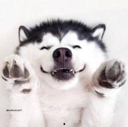 群众委屈吃瓜的视频,揭秘网络视频背后的真实情感