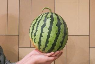 西昌18度吃瓜事件视频,一场引发热议的街头冲突