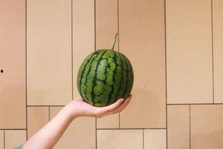 西昌18度吃瓜事件视频,一场引发热议的街头冲突