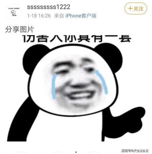 我是吃瓜群主什么意思啊视频,一场网络视频的狂欢与思考