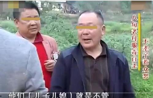吃瓜群众刘奶奶视频,揭秘娱乐圈幕后故事