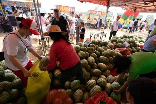 吃瓜栏杆视频,一场网络热议背后的真相