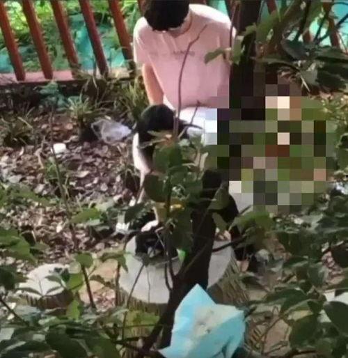 福建水院吃瓜事件视频曝光,校园风波引发社会关注