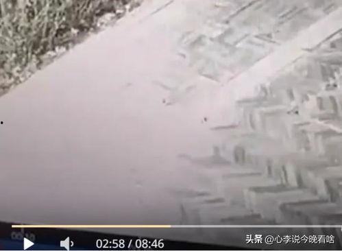 兰州吃瓜视频高清全集,高清全景，揭秘兰州街头美食盛宴