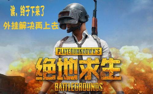 瓜仔吃鸡素材视频下载网站