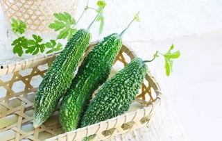 吃嫩兰瓜可以减肥吗视频,揭秘吃瓜也能瘦身的神奇效果