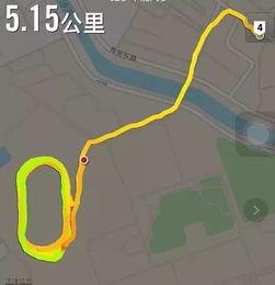 吃瓜群众跑步的视频是谁