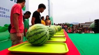 吃瓜群众跑步的视频是谁