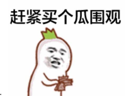 来宾的吃瓜群众是谁啊视频,揭秘“吃瓜群众”背后的来宾身份之谜