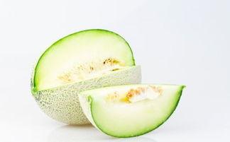 柯基会吃哈密瓜吗视频,揭秘柯基对哈密瓜的神奇反应