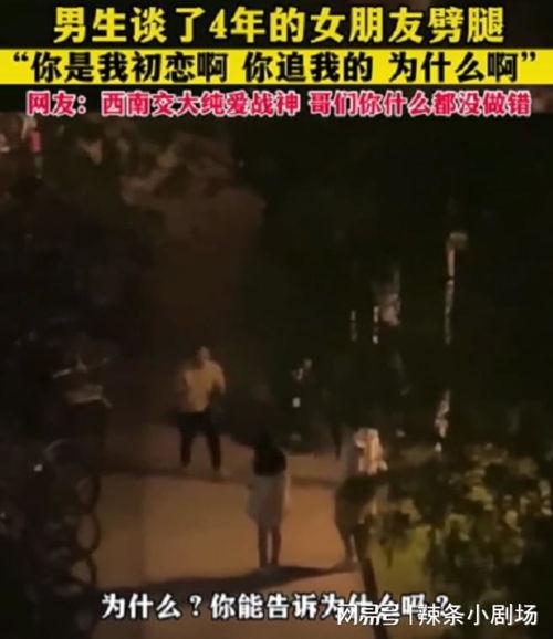 观众吃瓜黑影素材视频在线观看,观众吃瓜素材视频大揭秘