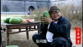 吃瓜搞笑事件视频大全集,笑料横生！吃瓜搞笑事件视频大全集精彩回顾