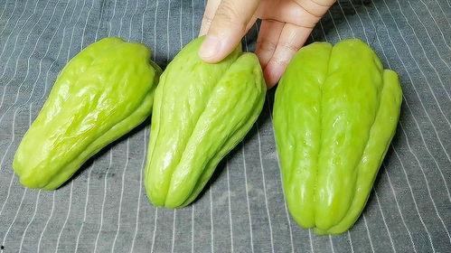 老鼠吃佛手瓜种苗视频,一场生态与生存的较量