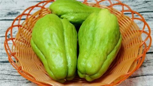 老鼠吃佛手瓜种苗视频,一场生态与生存的较量