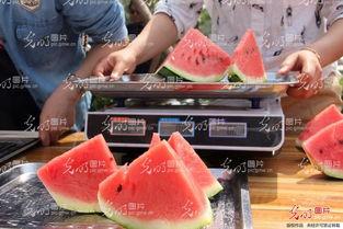 山东吃瓜的视频,一场视觉与味觉的双重盛宴