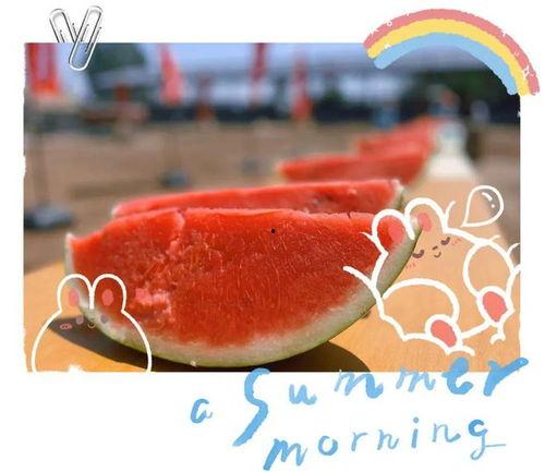 吃瓜现场视频最新下载,最新下载揭秘幕后真相