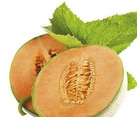 狐狸吃哈密瓜视频大全集,哈密瓜视频大全集欢乐盛宴