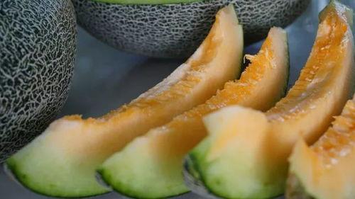 小编吃冰瓜视频,跟随小编一起畅享冰瓜美味时光