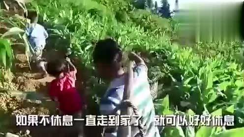 辰飞吃瓜视频,揭秘娱乐圈幕后故事