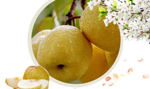 五月份吃酥瓜好吗视频大全