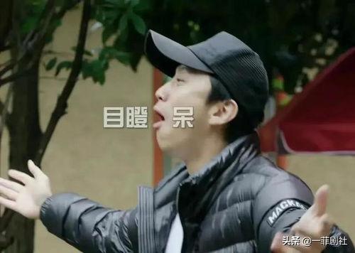 韩国明星吃瓜眼神视频大全,揭秘娱乐圈幕后真相