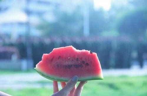 安静的吃瓜音乐视频,探寻“安静吃瓜”音乐视频的宁静魅力