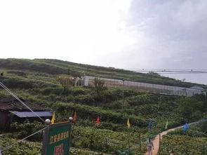 山洪爆发吃瓜群众视频大全,吃瓜群众现场直击视频大全