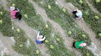 山洪爆发吃瓜群众视频大全,吃瓜群众现场直击视频大全