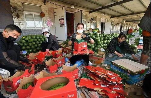 武汉展会吃瓜群众事件视频,现场冲突与网络热议