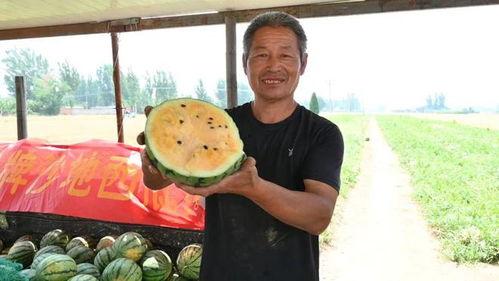 台湾附近吃瓜事件视频大全,揭秘热点瞬间