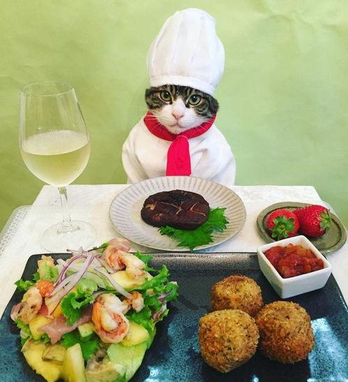 最后一名吃瓜群众视频,揭秘“吃瓜群众”视频背后的热门话题与现象