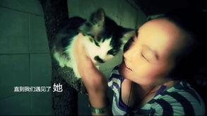 吃瓜哭的视频原版,情感共鸣的瞬间