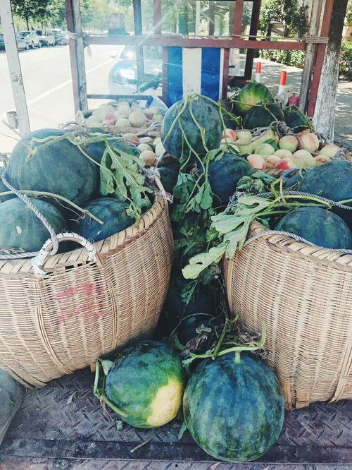 请大家吃瓜视频,揭秘“请大家吃瓜”视频背后的热门话题与网络现象