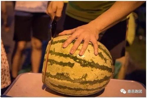 打官司吃瓜视频真实,揭秘打官司吃瓜视频背后的真实故事