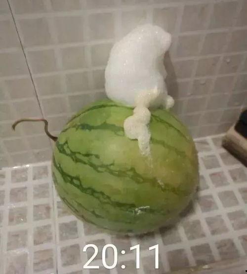 泡泡黄钰杰吃瓜视频,一场吃瓜视频引发的娱乐圈热议